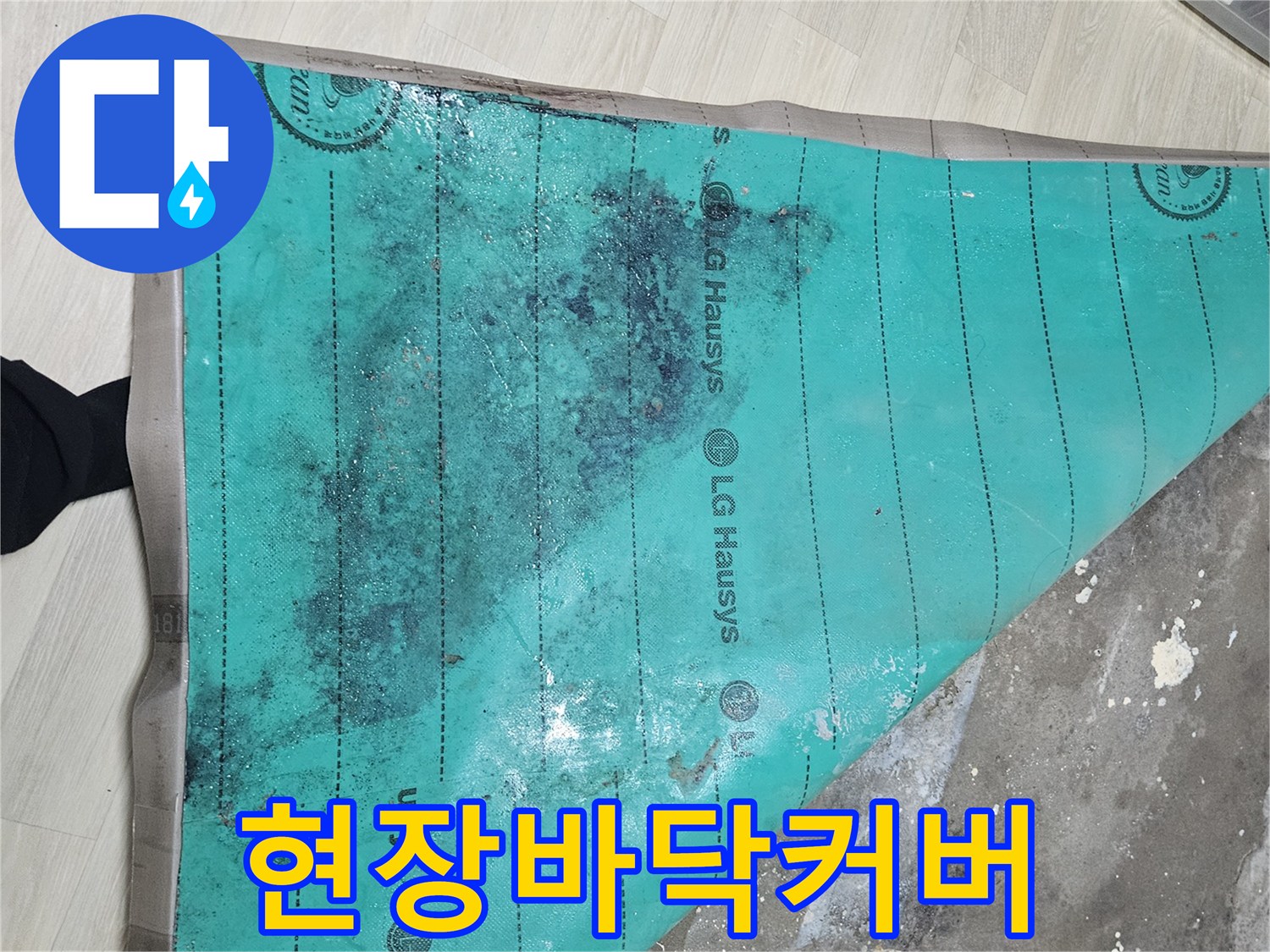 공사-시작-전의-바닥-보양상태