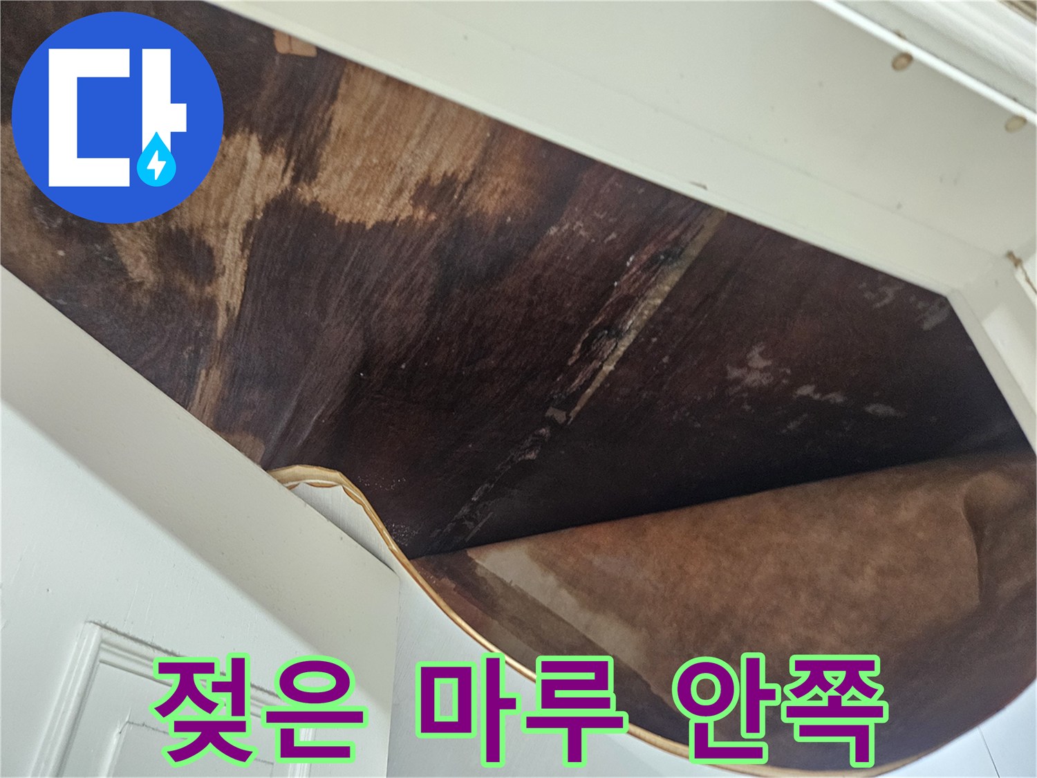 바닥재-하부의-축축하게-젖은-상태