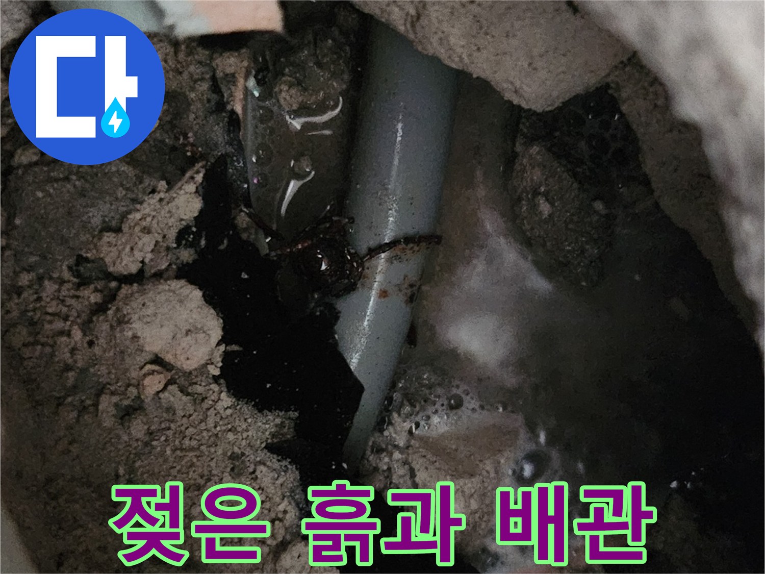 배관 주변의 젖은 흙과 노출된 온수 파이프