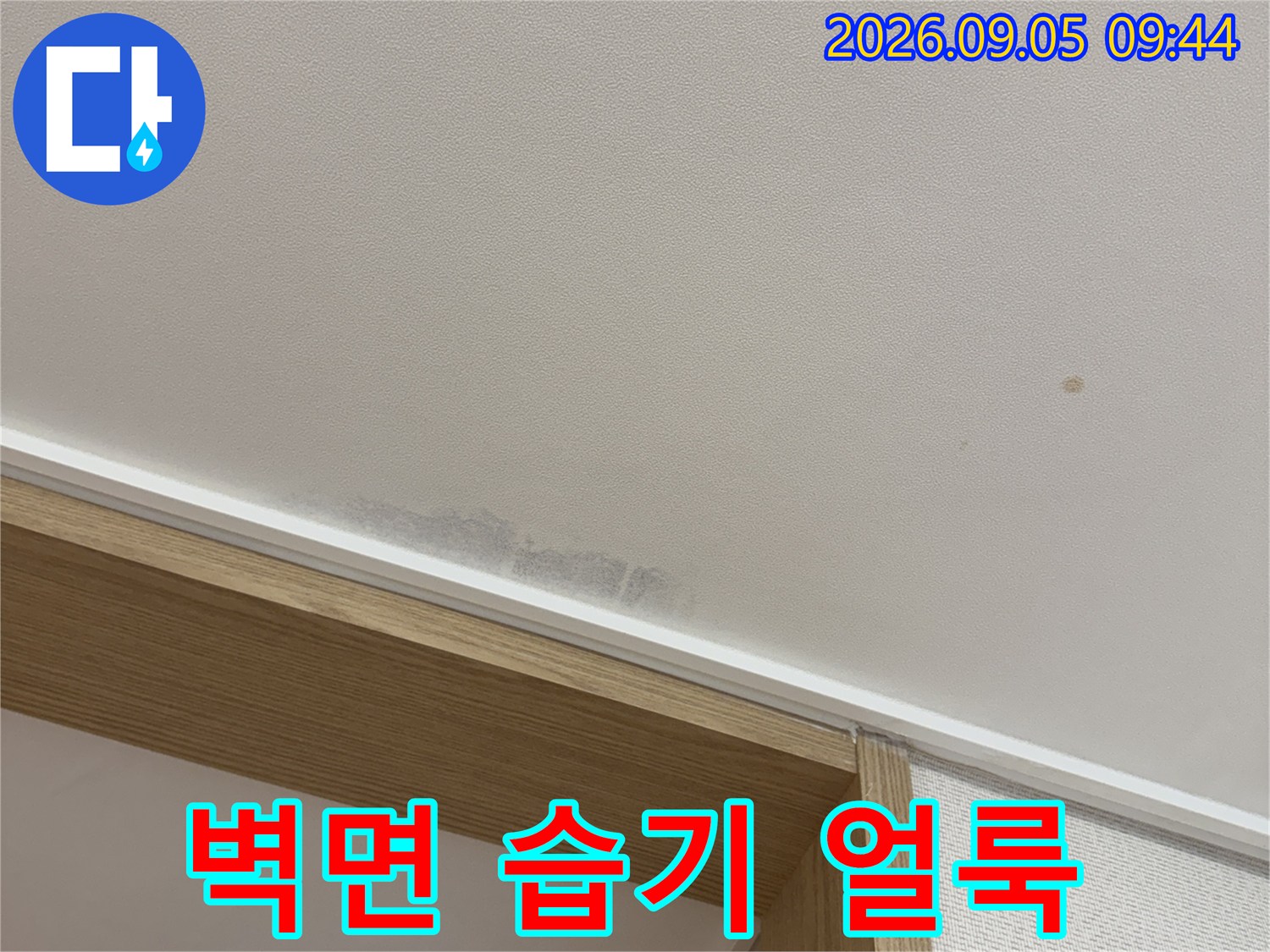 천장 부근 벽지의 젖은 변색 구간 상세 촬영