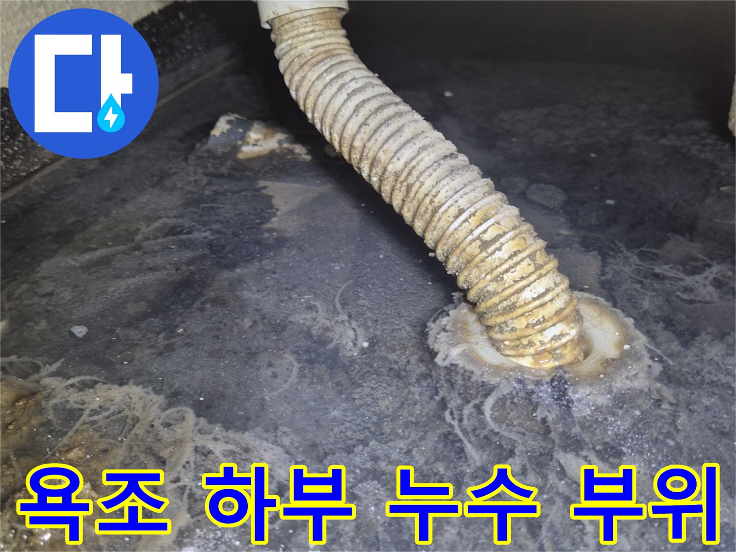 FRP 욕조-배관 연결 이탈 확인