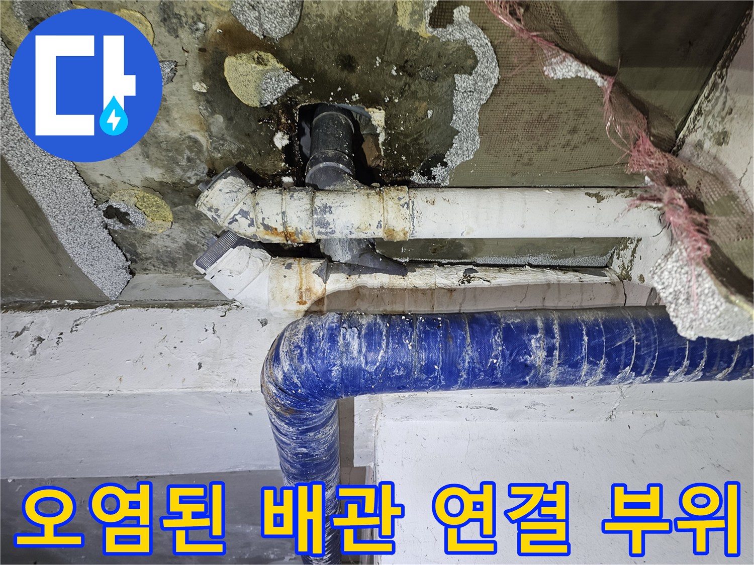 배수 파이프 주변-누수로 인한 곰팡이와 얼룩