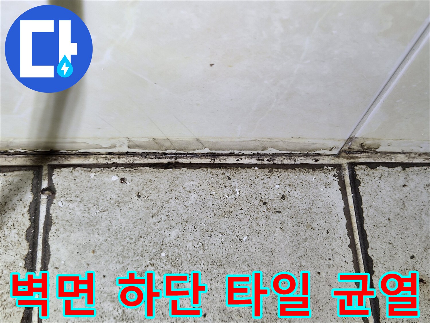 화장실 벽체-타일 경계-균열 부위