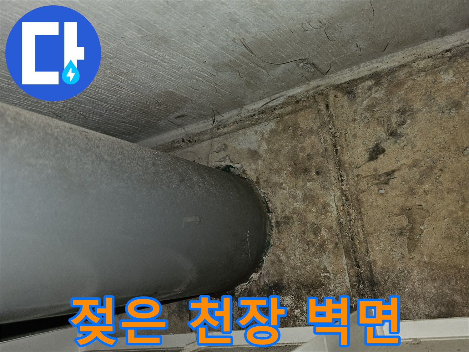 물에-젖어-변색된-천장-콘크리트-부위
