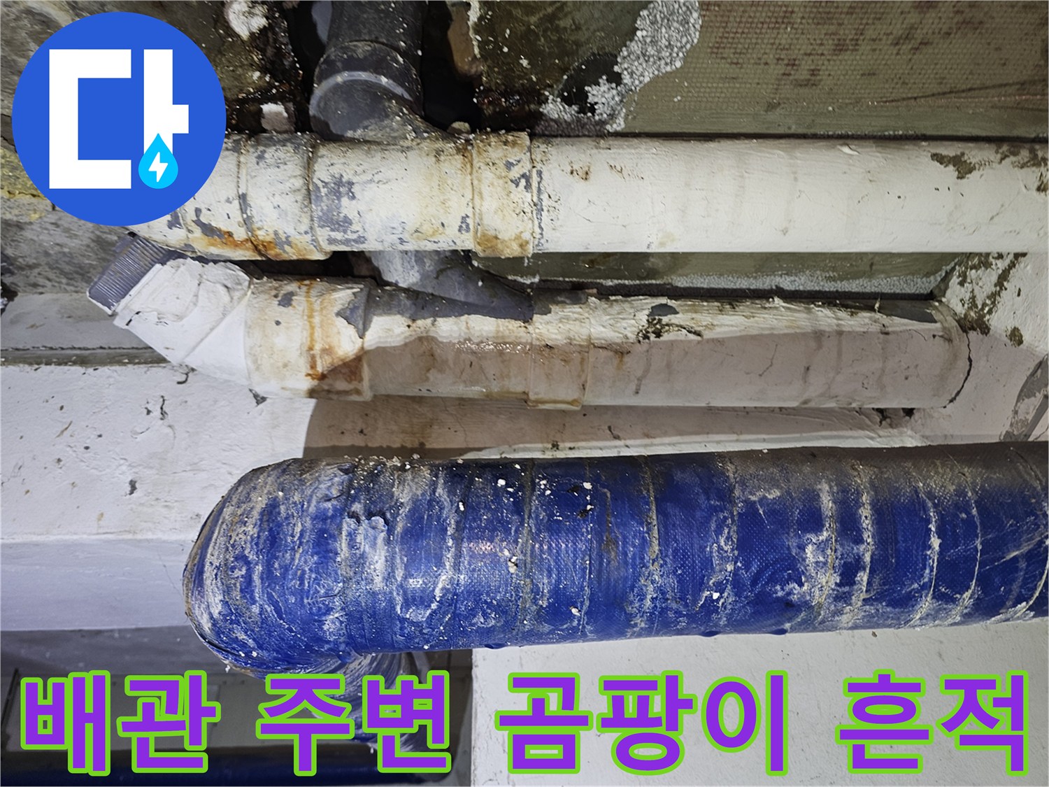 습기-및-곰팡이가-발생한-배관-표면