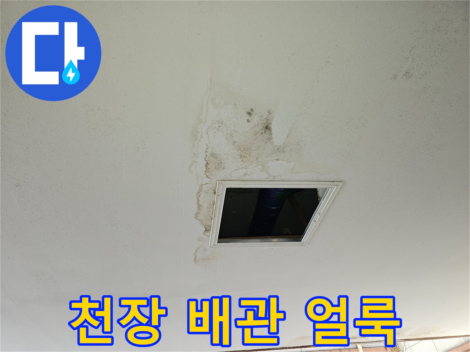 배관-입구-주변의-넓게_퍼진-누수-흔적