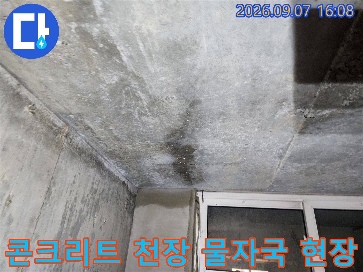 연천 전곡읍-습기로 인해 얼룩진 지하층 천장