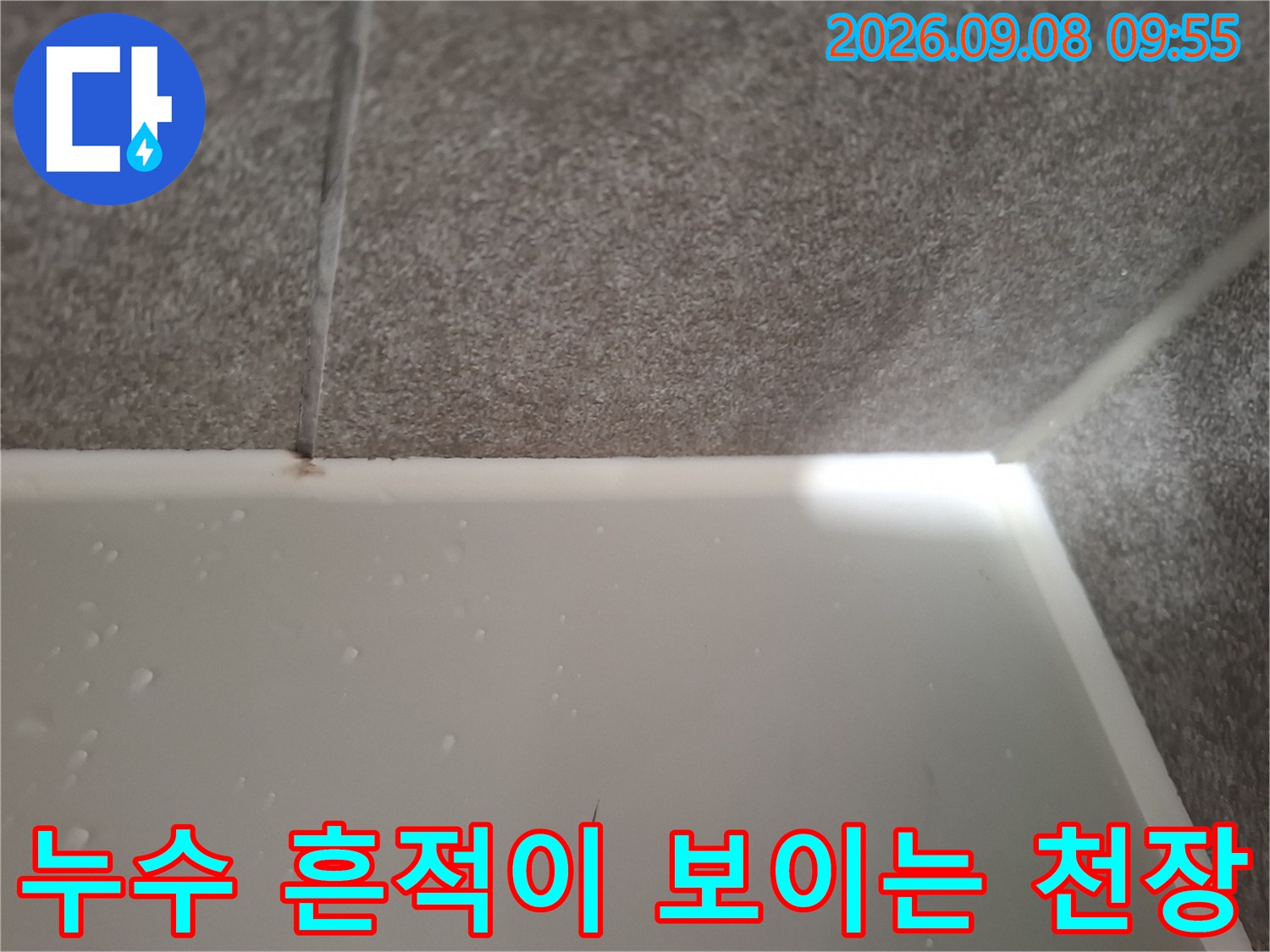 습기가 스며들어 변색된 천장 마감재 부위