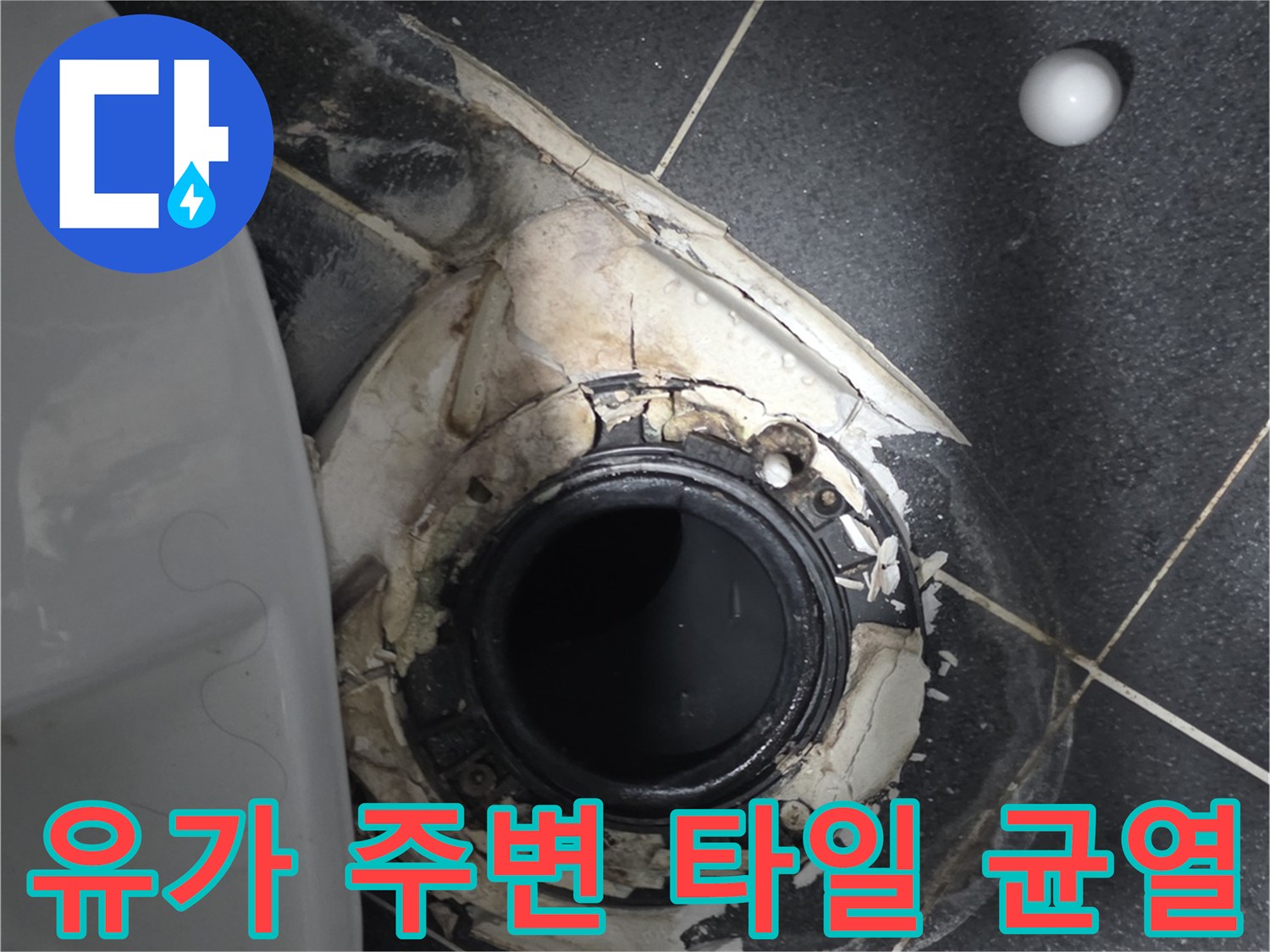욕실-배수구-주변-타일-및-방수재-노출