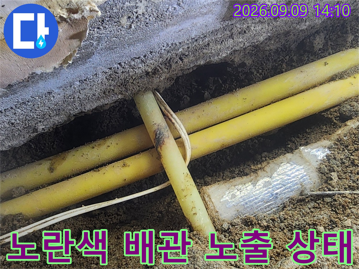 굴착된 벽면 사이로 드러난 노란색 PB배동의 모습입니다.