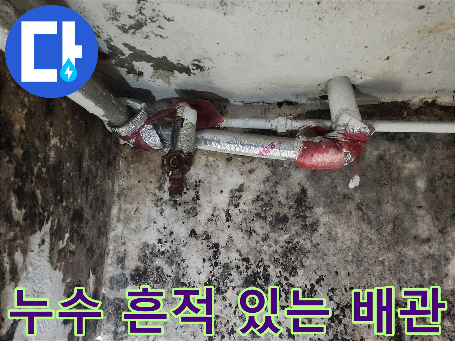 물샘으로 인해 변색되고 곰팡이가 발생한 지하실 배관 부위