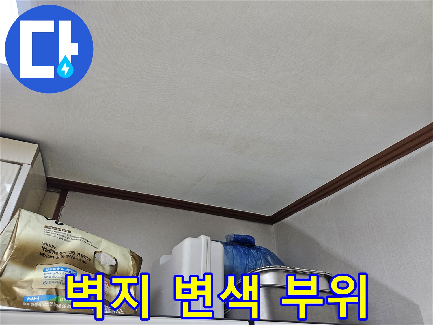 물샘으로 인한-벽면 하단부 곰팡이 징조