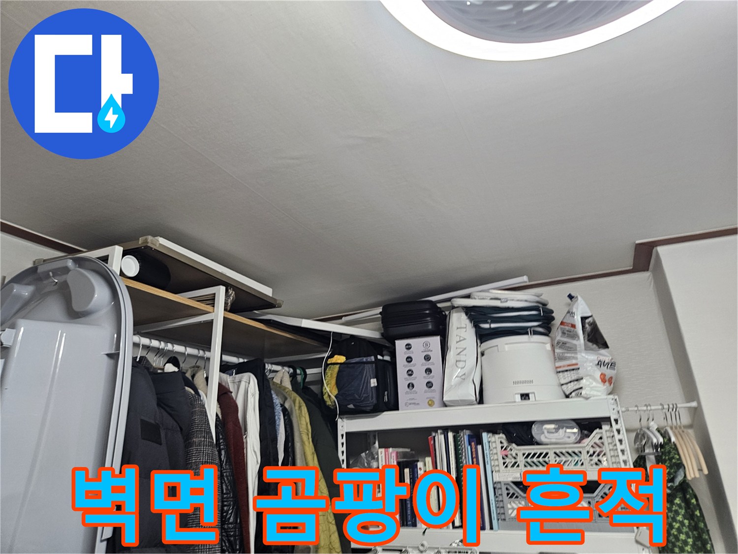 석촌동 현장의 벽면 곰팡이 및 습기 흔적