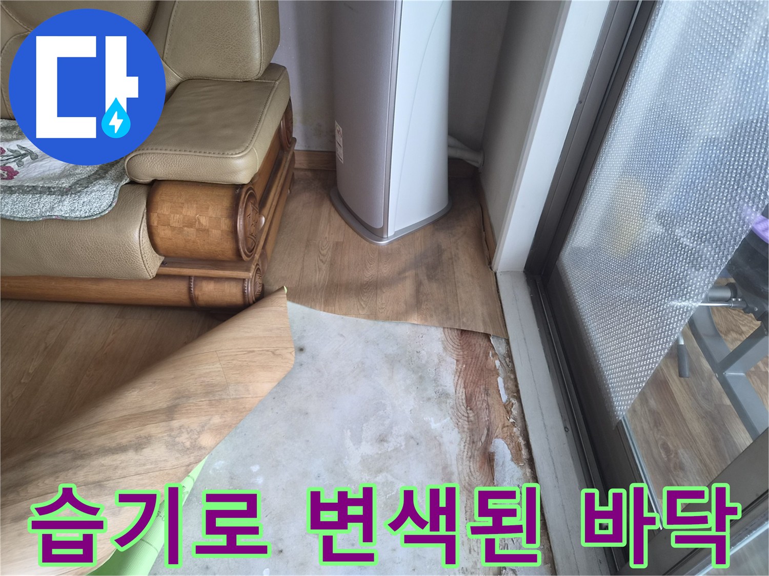 습기 유입으로 인해 변색된 장판 아래 바닥면