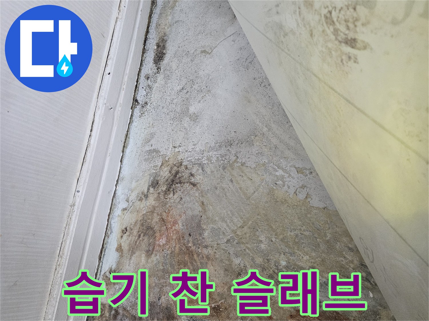 물샘-현상으로-오염된-바닥-슬래브-면