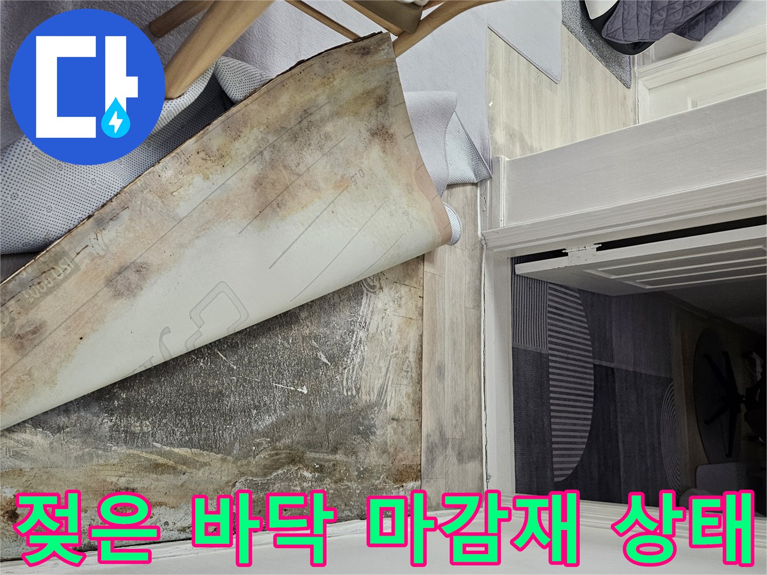 물샘으로 인해 변색되고 젖어 있는 현관 입구 바닥재 사진
