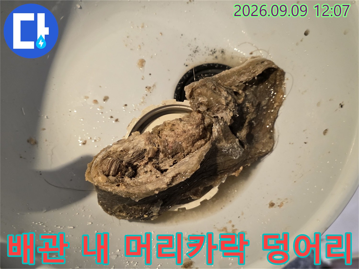 머리카락과 오염물이 뒤섞인 배관 내부의 모습