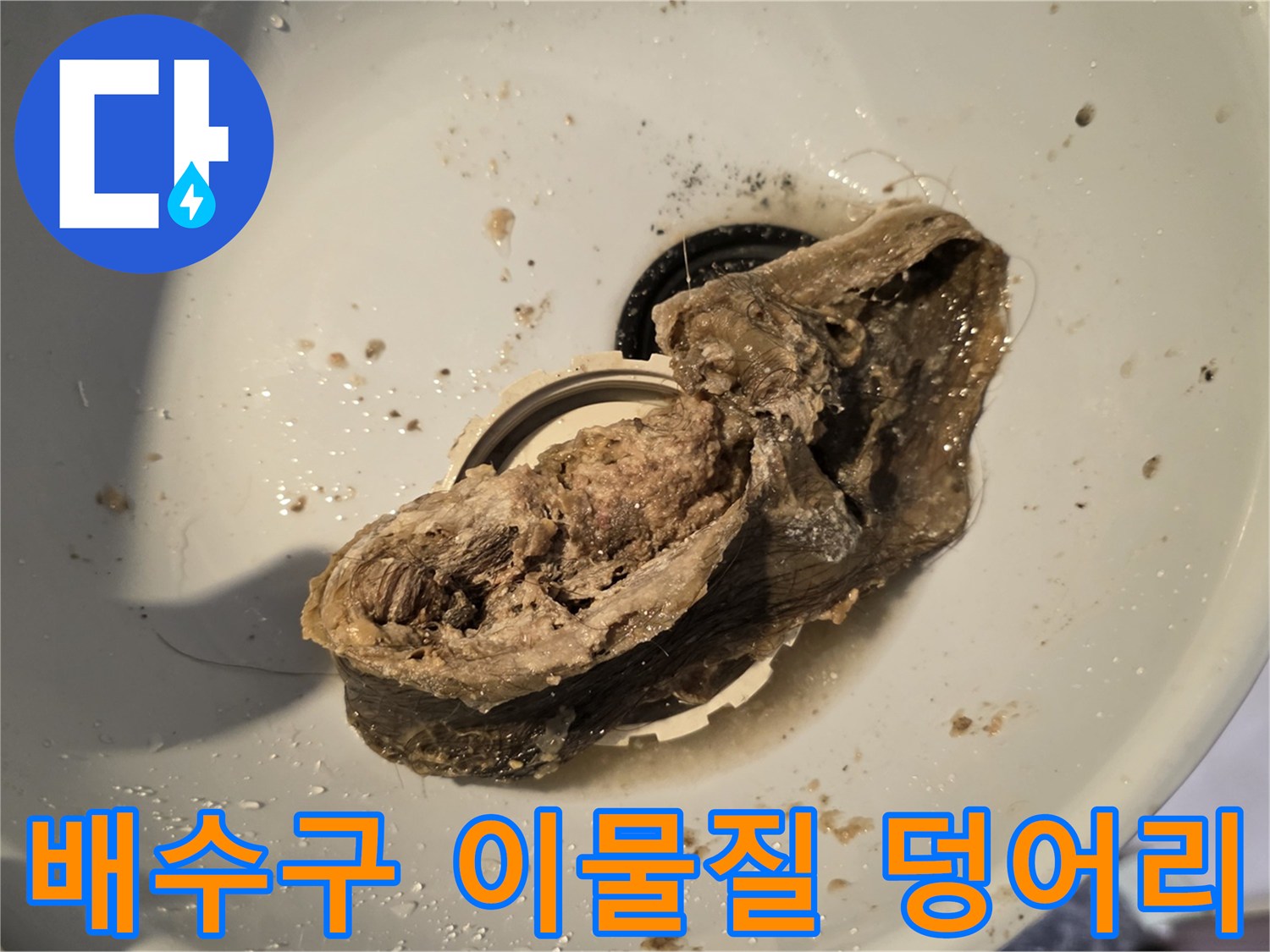 욕실-배수구에서-추출된-거대한-이물질-뭉치
