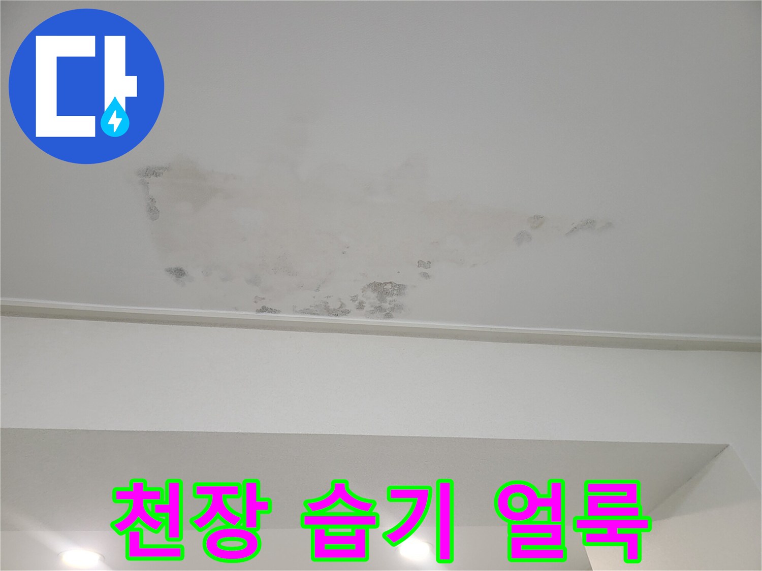 천장 도배지에 발생한 넓은 범위의 물 침투 흔적