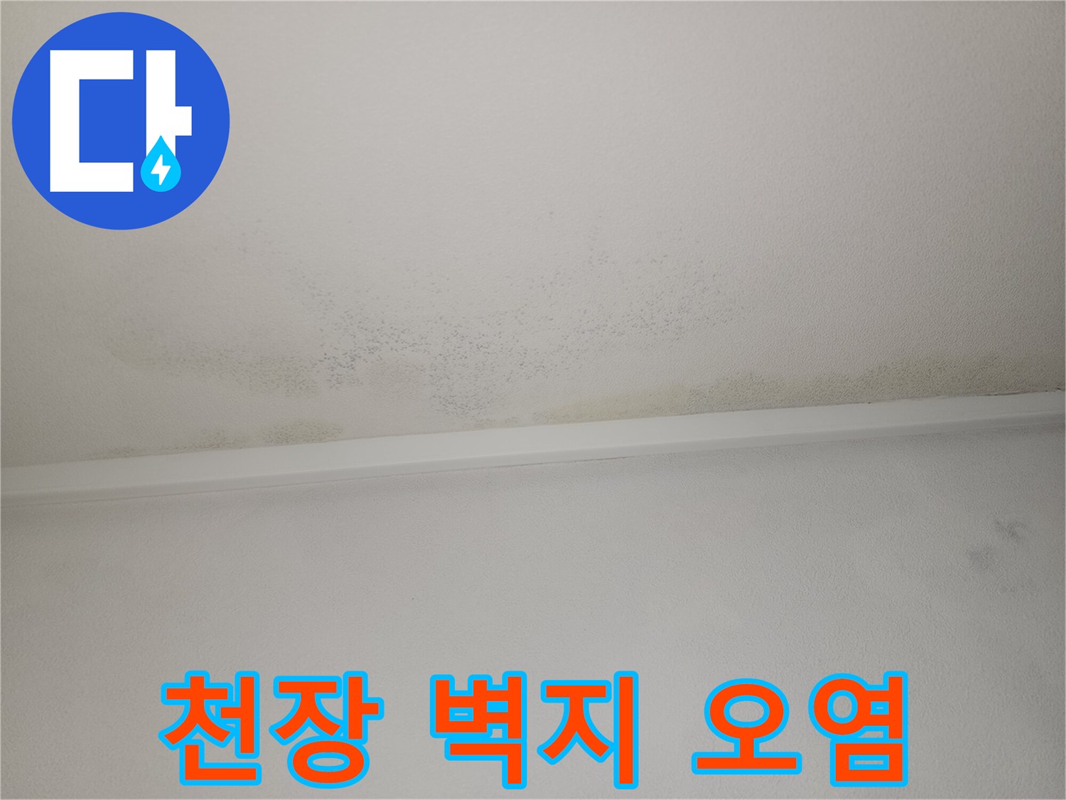 천장 가장자리를 따라 퍼져 있는 물샘 흔적