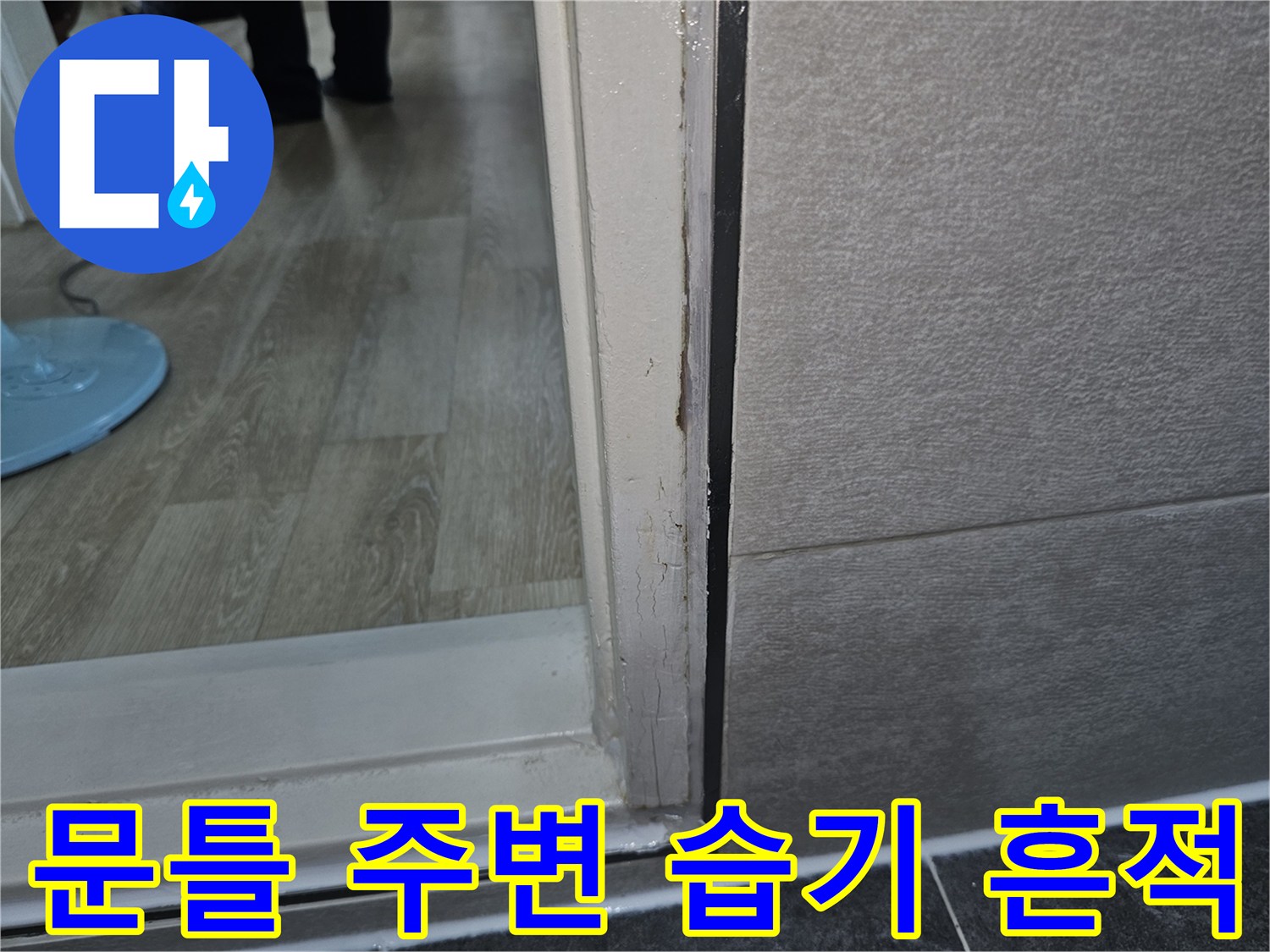 화장실-입구-문틀-하단-틈새-오염-확인
