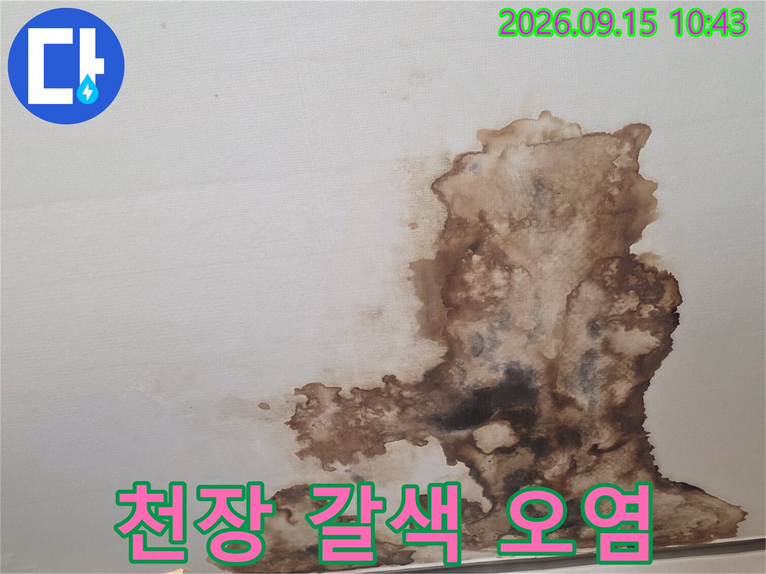 갈색으로 심하게 오염된 천장 마감재 상태
