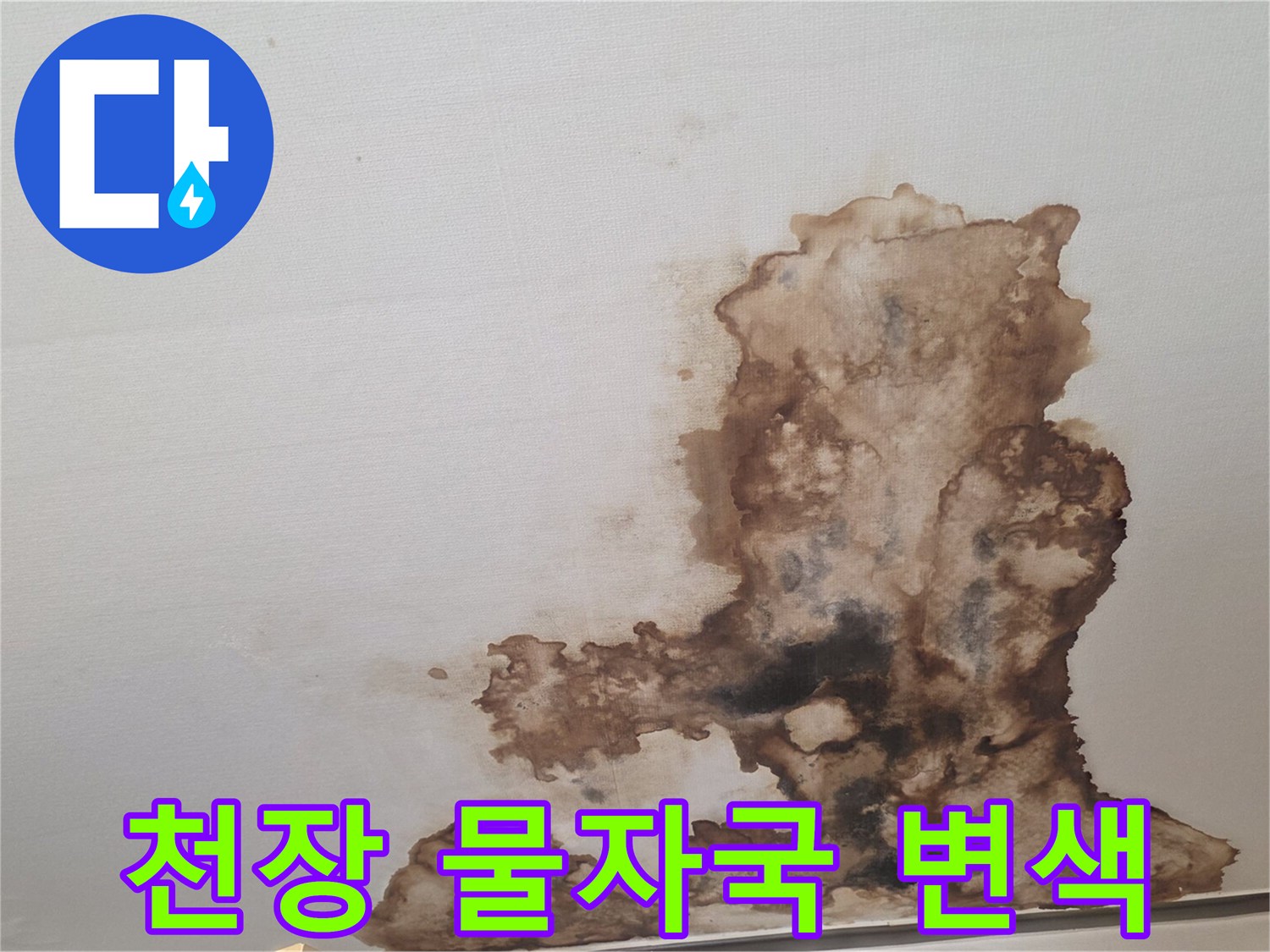갈색으로 오염된 천장 마감재 부위