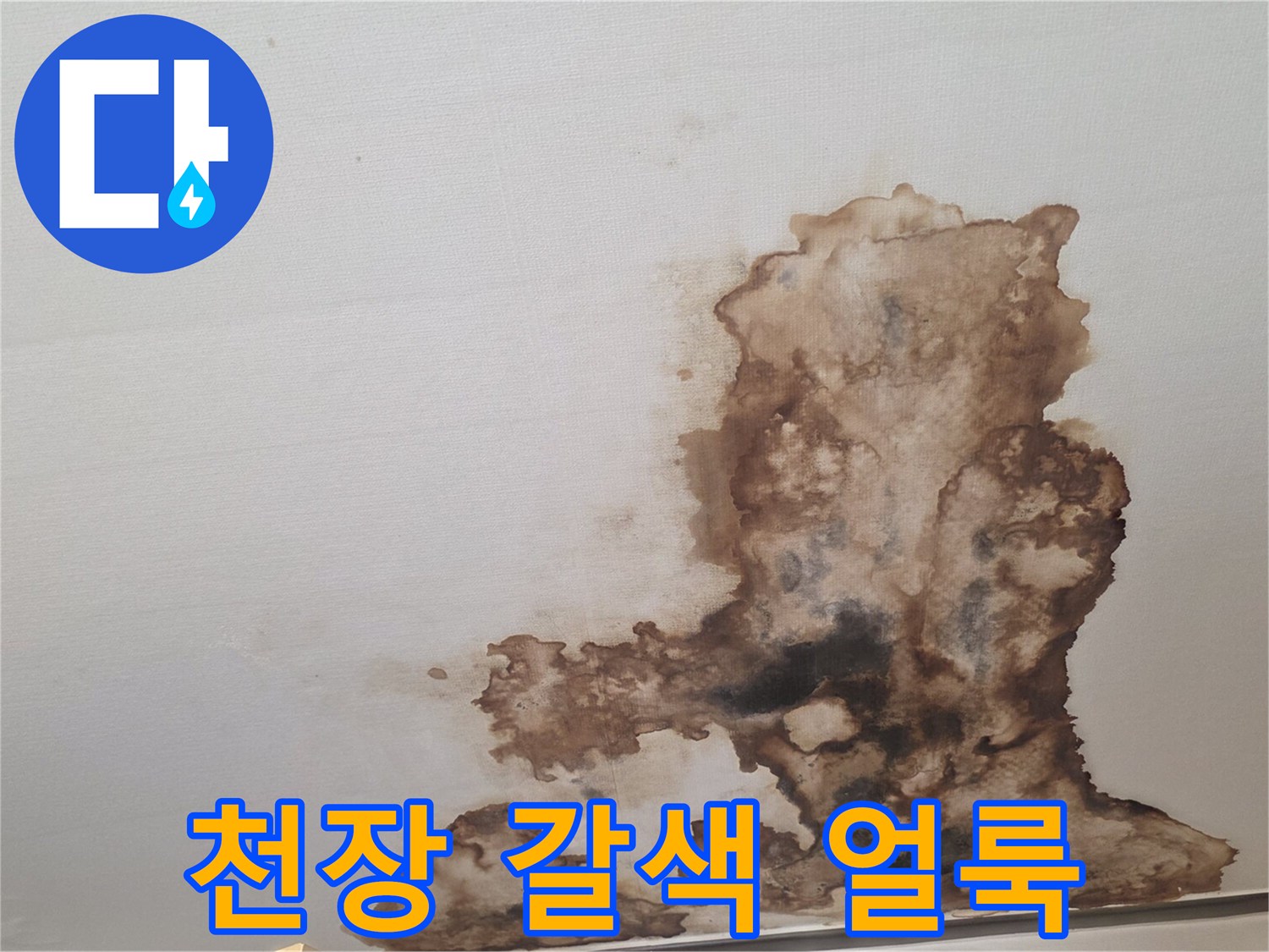 천장 마감재에 나타난 심한 변색 부위