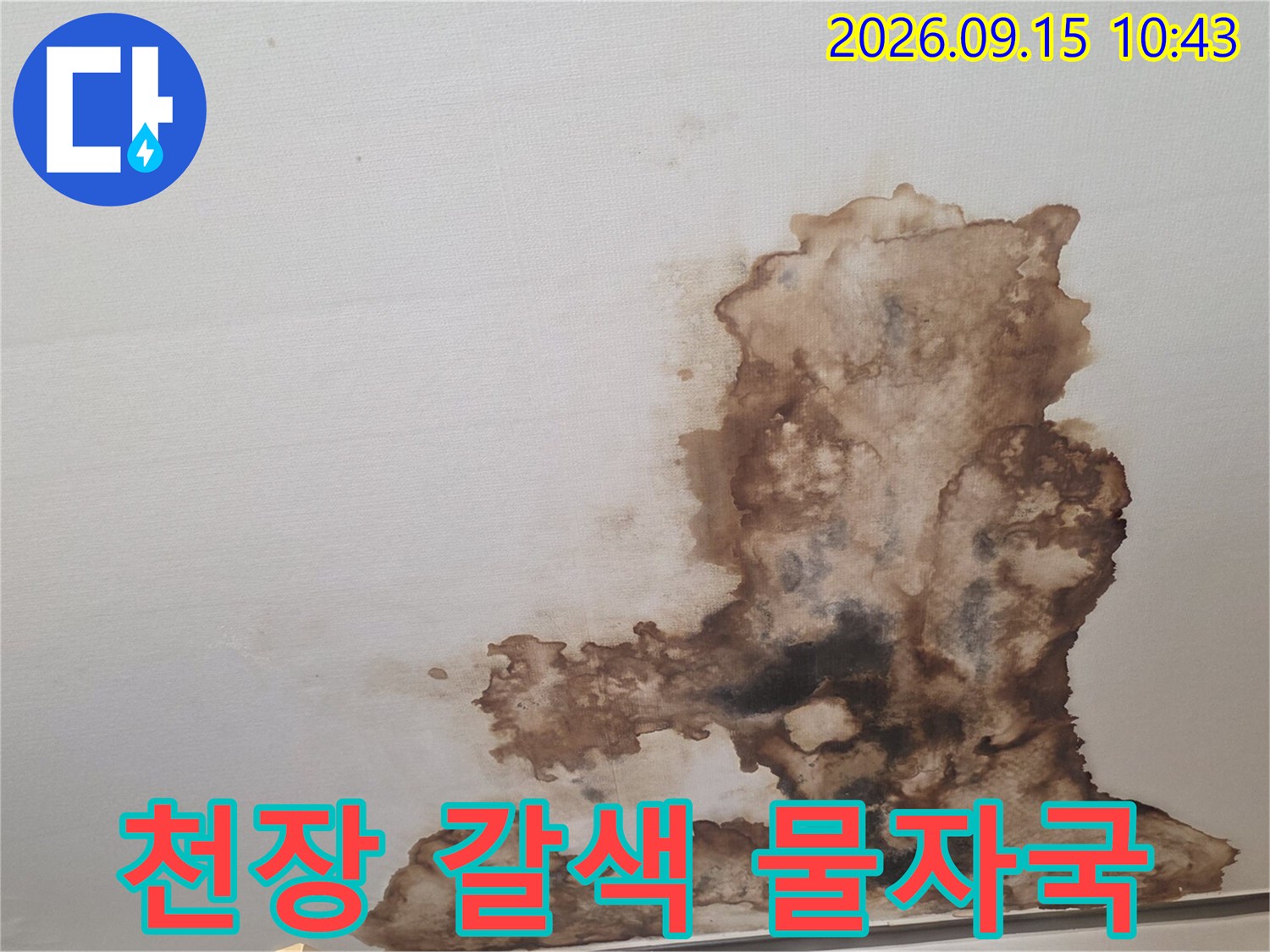 천장 마감재의 갈색 누수 변색 부위