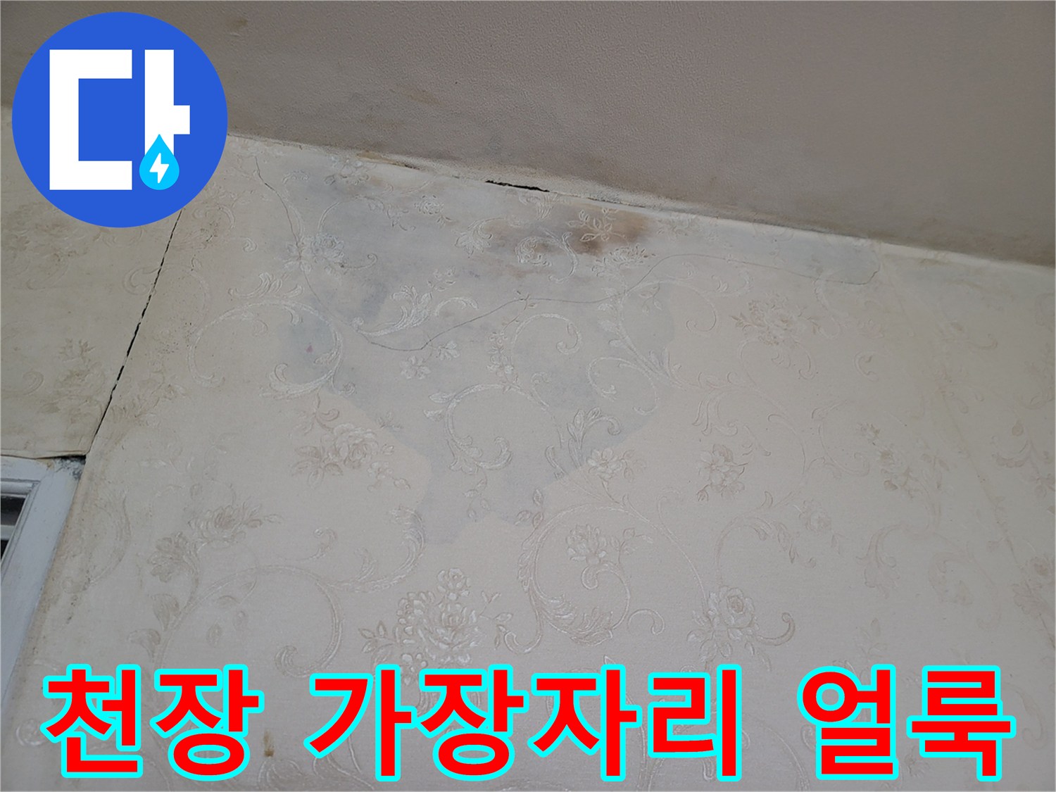 연수구 선학동-벽지 젖음 및 변색 확인