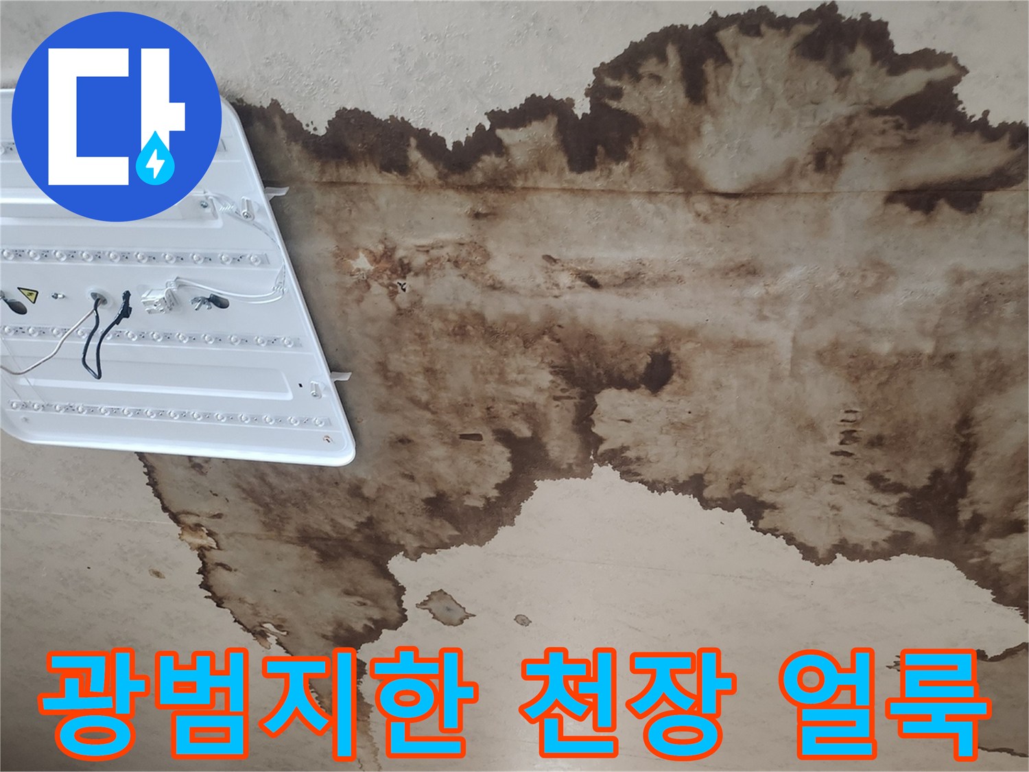 넓은-면적에-걸쳐-발생한-천장-누수-흔적