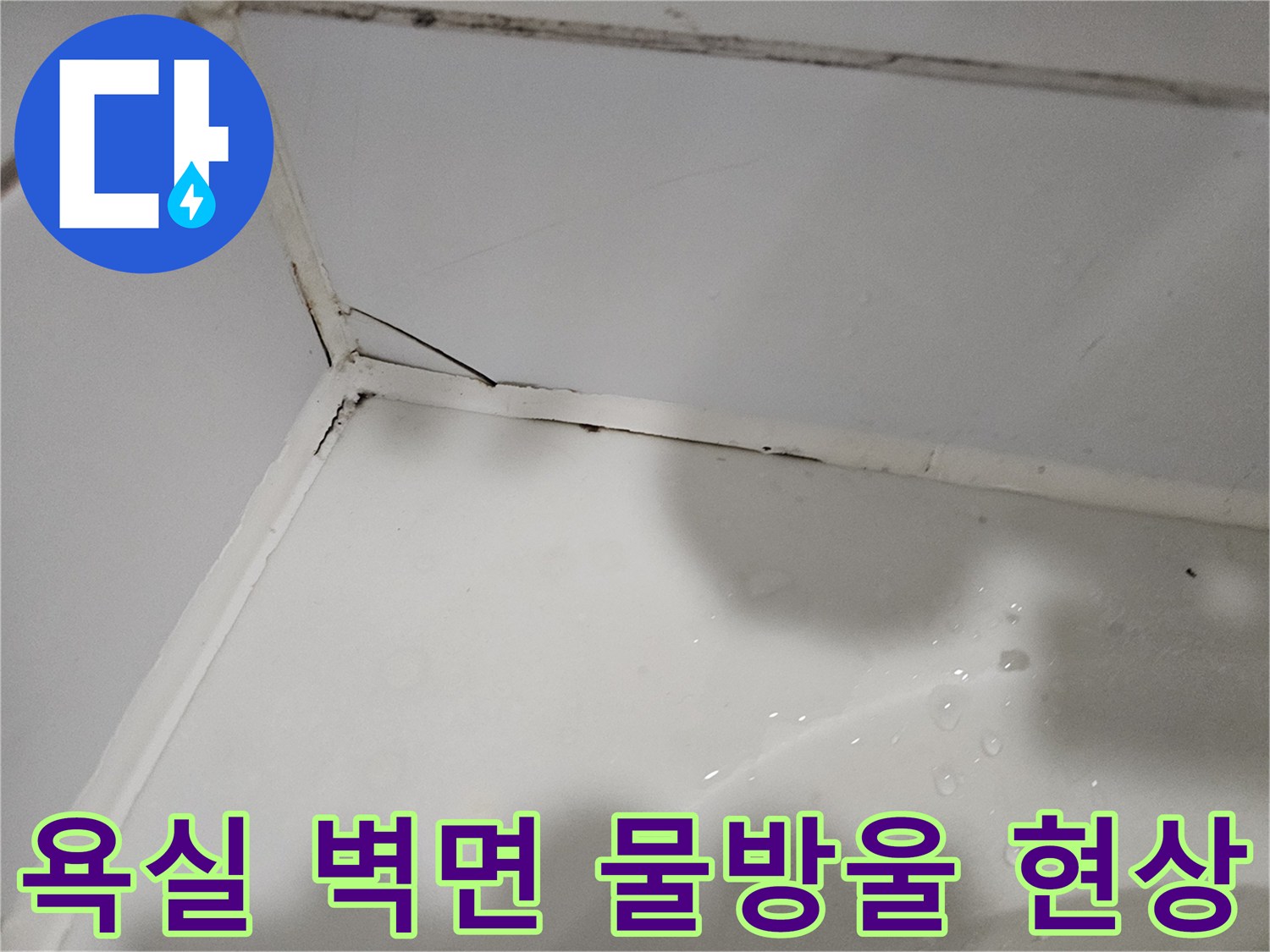 상계동 욕실 내부-천장 모서리의 물맺힘 상태